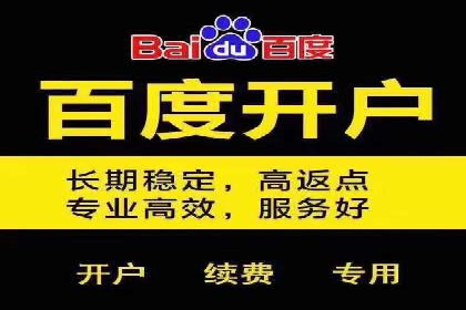 某知名品牌SEM优化托管的策略与成果